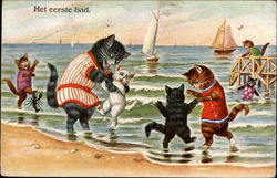 Het eerste bad Cats Postcard Postcard