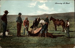 Skinning A Beef Postcard