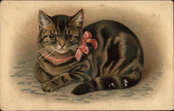 Kitten with a Red Bow Postcard