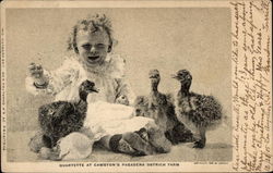 Toddler with baby ostriches photo Postcard