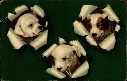 Puppies Poking Through Paper Postcard