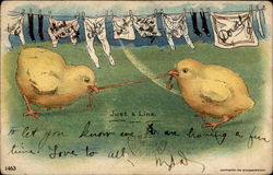 Just a line With Chicks Postcard Postcard