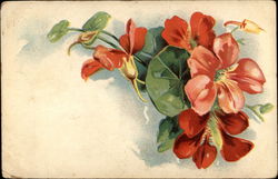 Spray of red flowers Postcard Postcard