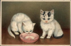 Two Kittens, One Drinking Milk From A Saucer Postcard