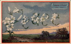 Language of flowers Postcard Postcard