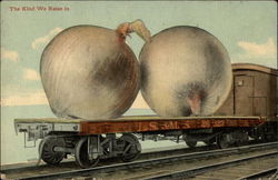 Huge onions on train's flat car Exaggeration Postcard Postcard