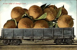 A Car Load of Oranges Exaggeration Postcard Postcard