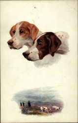 Two spaniels Dogs Postcard Postcard