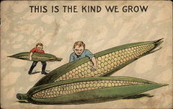 Corn cobs are shown off by two boys Postcard