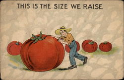 Farmer with large tomatoes Exaggeration Postcard Postcard