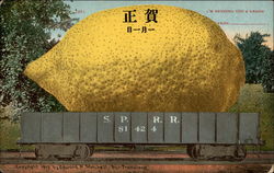 I'm sending you a lemon - Chinese Postcard