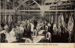 Schwarzschild & Sulzberger Company - beef killing Postcard