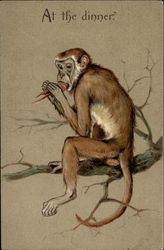 Monkey munching something on tree branch Monkeys Postcard Postcard