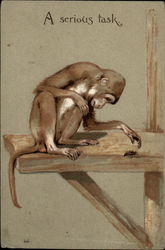 A monkey sits on a shelf and watches a bug or beetle Monkeys Postcard Postcard