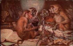 Monkeys talking on the phone Postcard Postcard