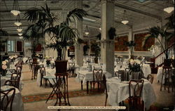 National Hotel Winter Garden Postcard