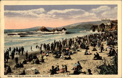 The Cliff House and Seal Rocks San Francisco, CA Postcard Postcard