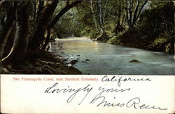 San Fransisquito Creek, near Stanford University California Postcard Postcard