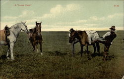 A "Loose Pack" Postcard