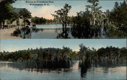 Scenes in Greenfield Park Wilmington, NC Postcard Postcard