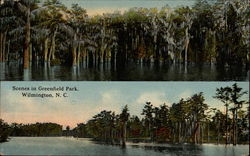 Scenes in Greenfield Park Wilmington, NC Postcard Postcard