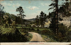 Cambria Canon Scenic, WY Postcard Postcard