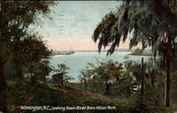 Looking Down River From Hilton Park Postcard