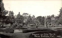 Scene in City Park Paso Robles, CA Postcard Postcard