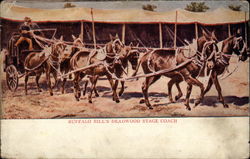 Buffalo Bill's Deadwood Stage Coach Postcard