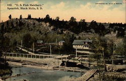 U. S. Fish Hatchery Postcard