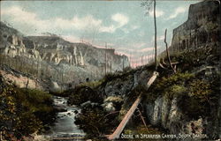 Scene in Spearfish Canyon Postcard