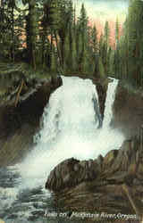 Falls on Mckenzie River Scenic, OR Postcard Postcard