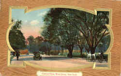 Central Park, West Drive Postcard