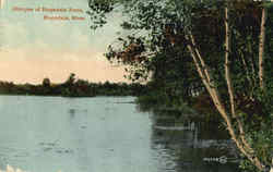 Glimpse of Hopedale Pond Massachusetts Postcard Postcard