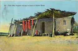 Chili (Red Pepper) drying in front of Adobe Home Postcard