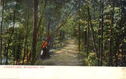 Lovers' Lane Milwaukee, WI Postcard Postcard