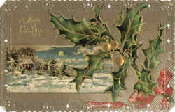 Merry Christmas Postcard Postcard