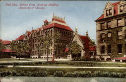 Hull Gate, Botany Pond, Anatomy Building, University of Chicago Illinois Postcard Postcard