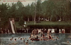 The Pool Postcard