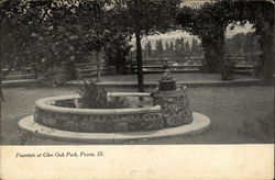 Fountain at Glen Oak Park Postcard