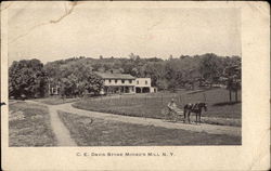 C .E. Davis Store Moores Mill, NY Postcard Postcard