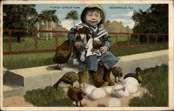 Florida ostrich farm Postcard