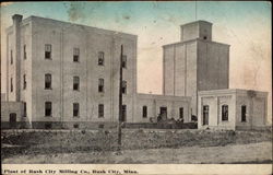 Plant of Rush City Milling Co Postcard