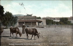 Pastoral scene at the Santa Barbara Mission California Postcard Postcard