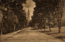 Central Avenue looking North, Cornell University Campus Ithaca, NY Postcard Postcard