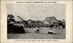 A View in the Lake Front Park Lake Worth, FL Postcard Postcard