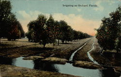 Irrigating an Orchard Florida Postcard Postcard