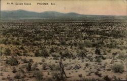 Desert Scene Postcard