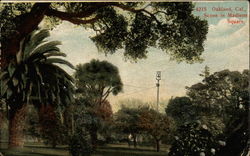 Scene in Madison Square Postcard