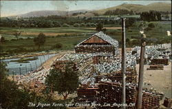 The Pigeon Farm, Near Elusian Park Postcard